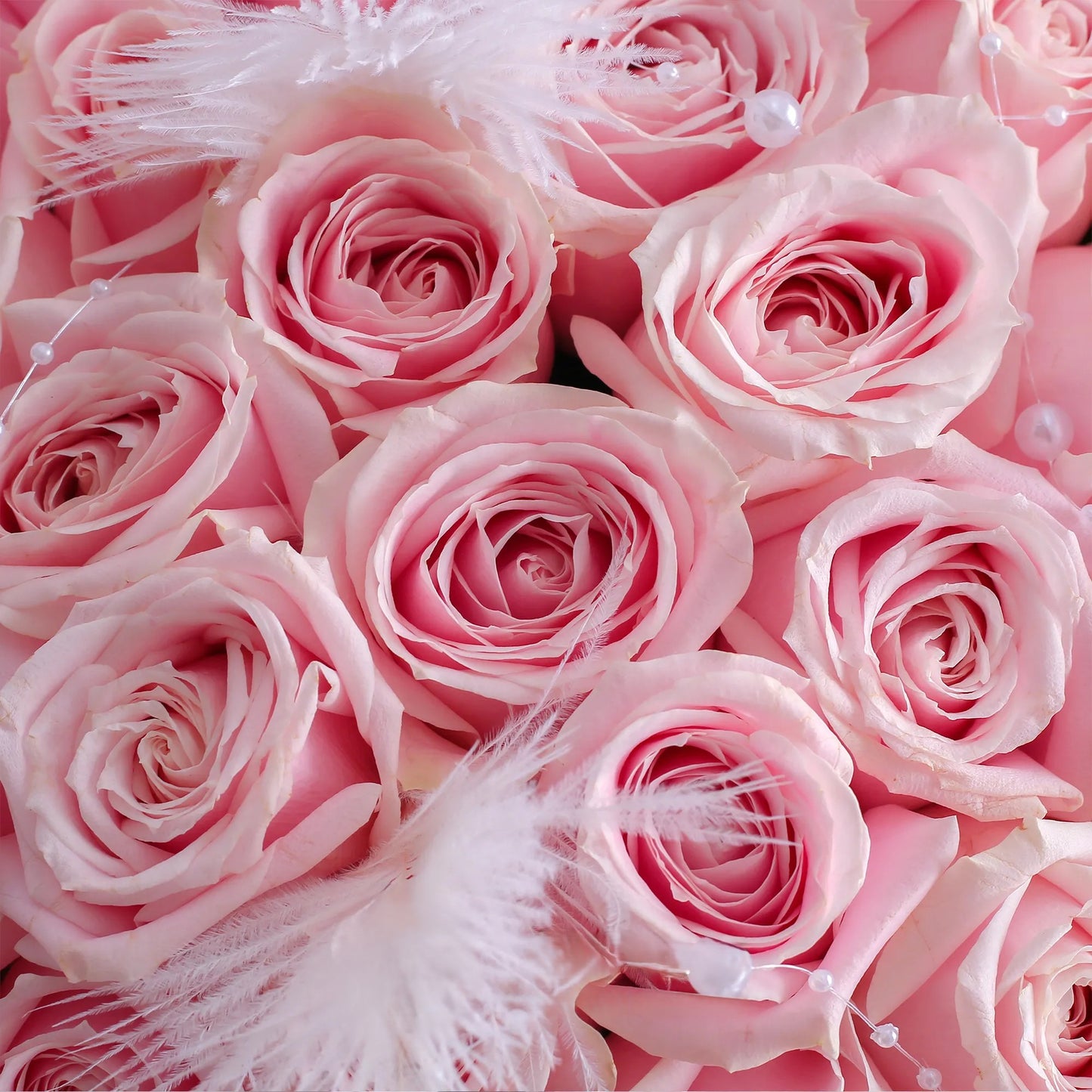 33/52 枝粉雪山玫瑰鮮花束【浪漫寵溺】Pink Rose Fresh Bouquet