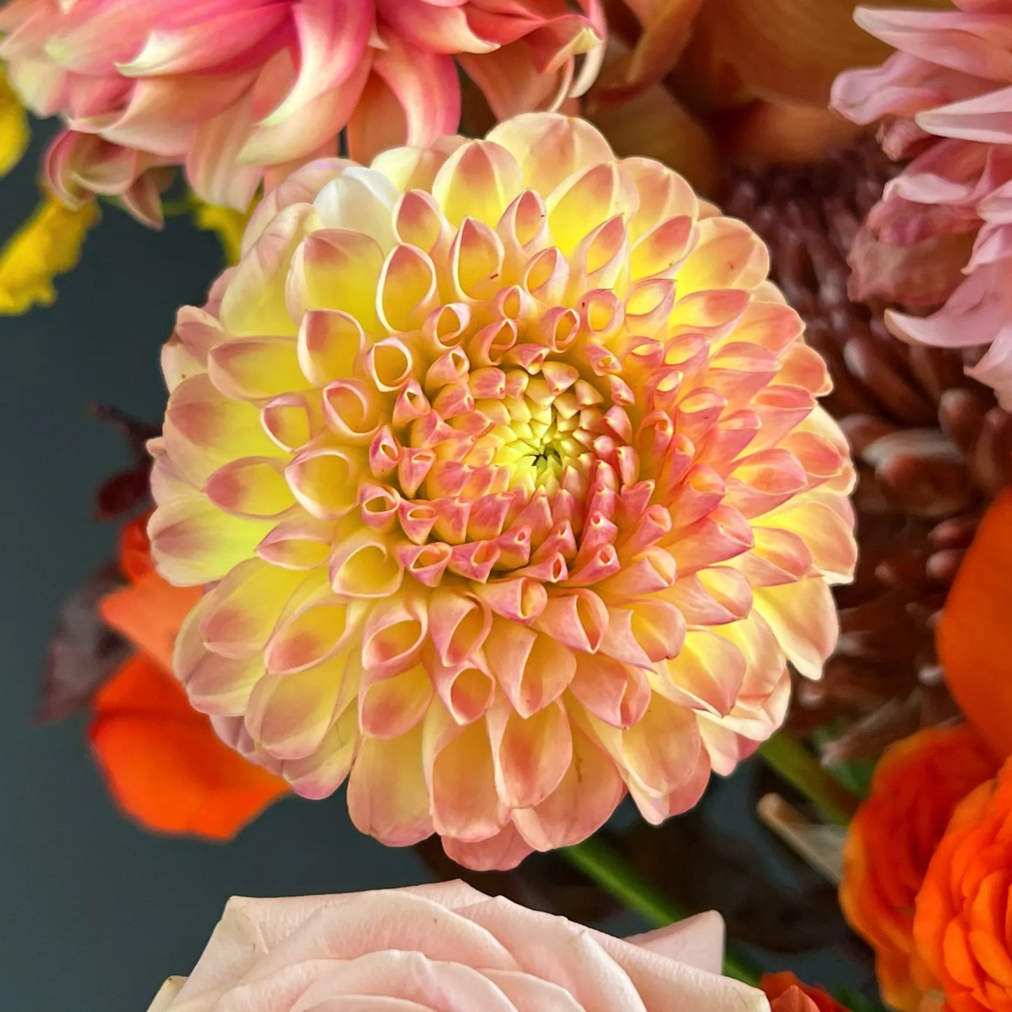【赤霞橘光】玫瑰牡丹菊跳舞蘭混搭鮮花桶