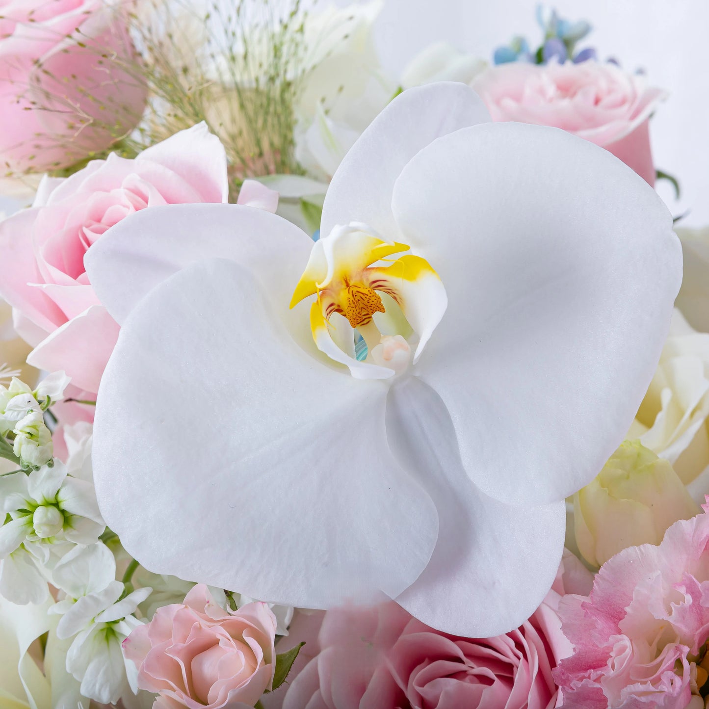 【漫步花途】玫瑰蝴蝶蘭混搭鮮花籃