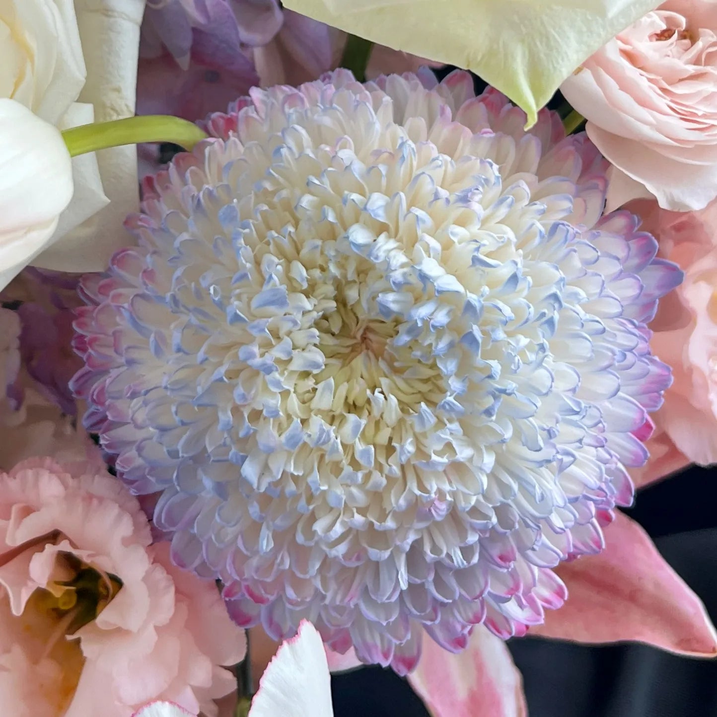 【朦朧花園】白玫瑰繡球混搭鮮花桶