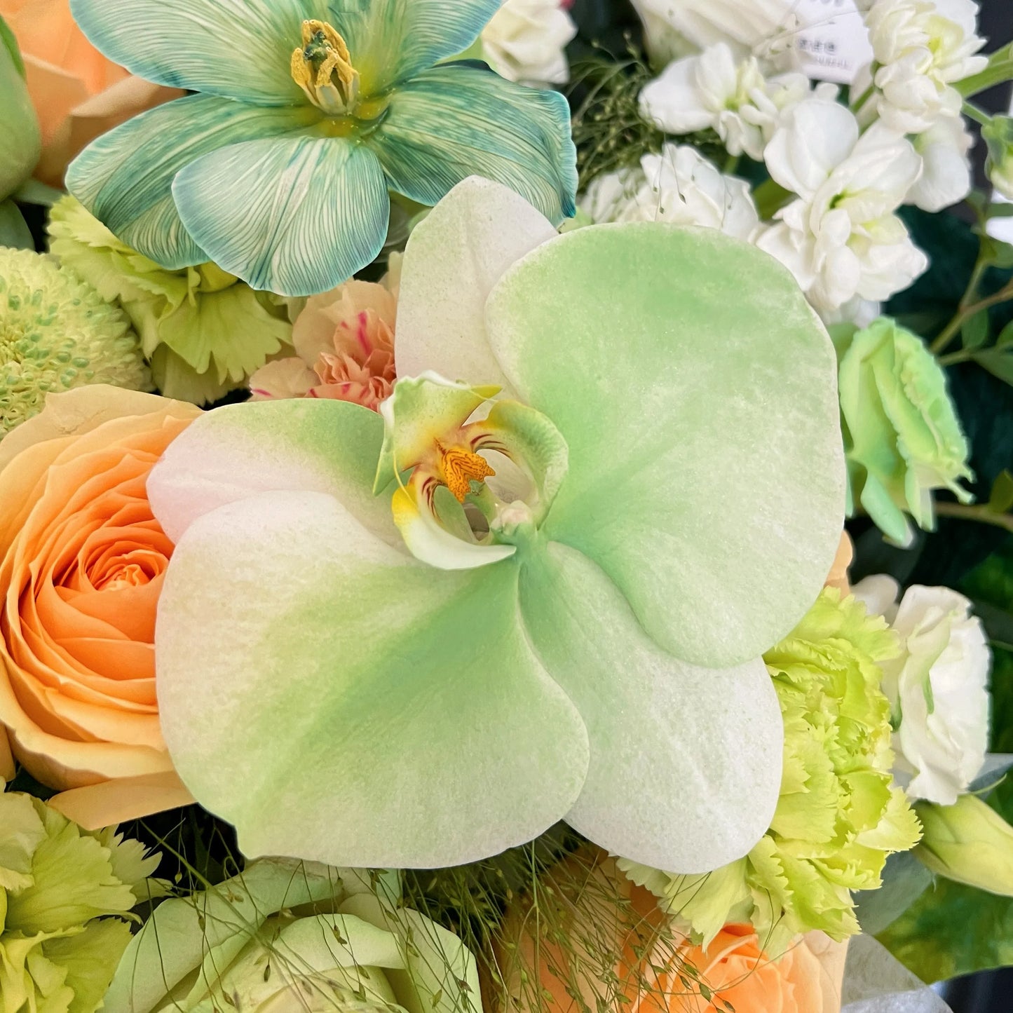【微光亦然】香檳玫瑰鬱金香混搭鮮花束