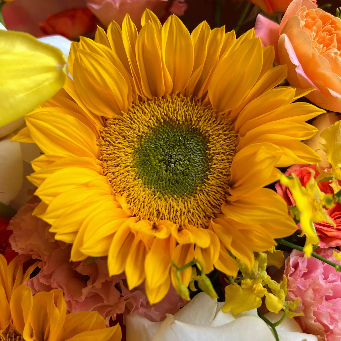 【橙心如意】橙玫瑰向日葵蝴蝶蘭混搭鮮花束