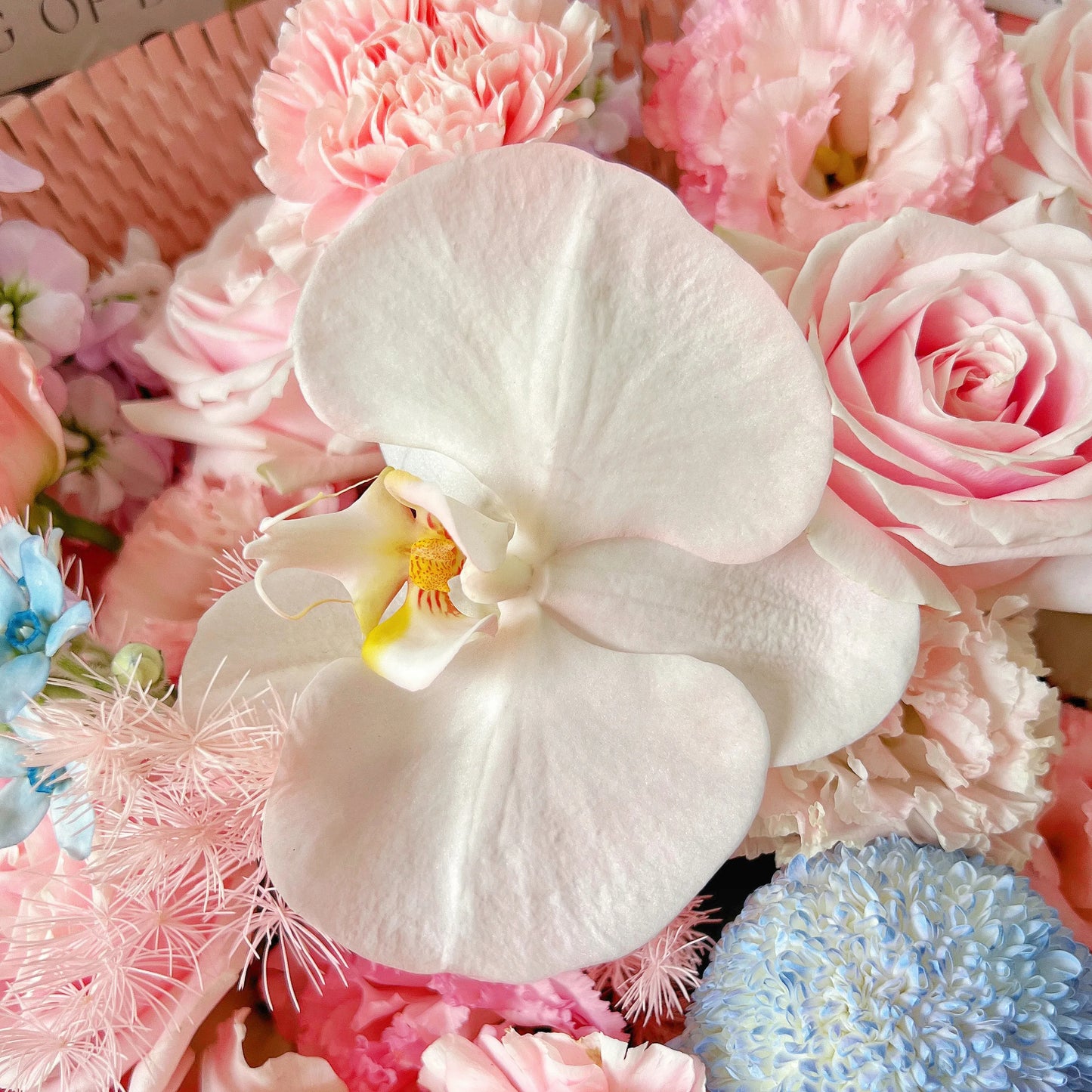 【晨曦絮語】粉雪山康乃馨鬱金香混搭鮮花束