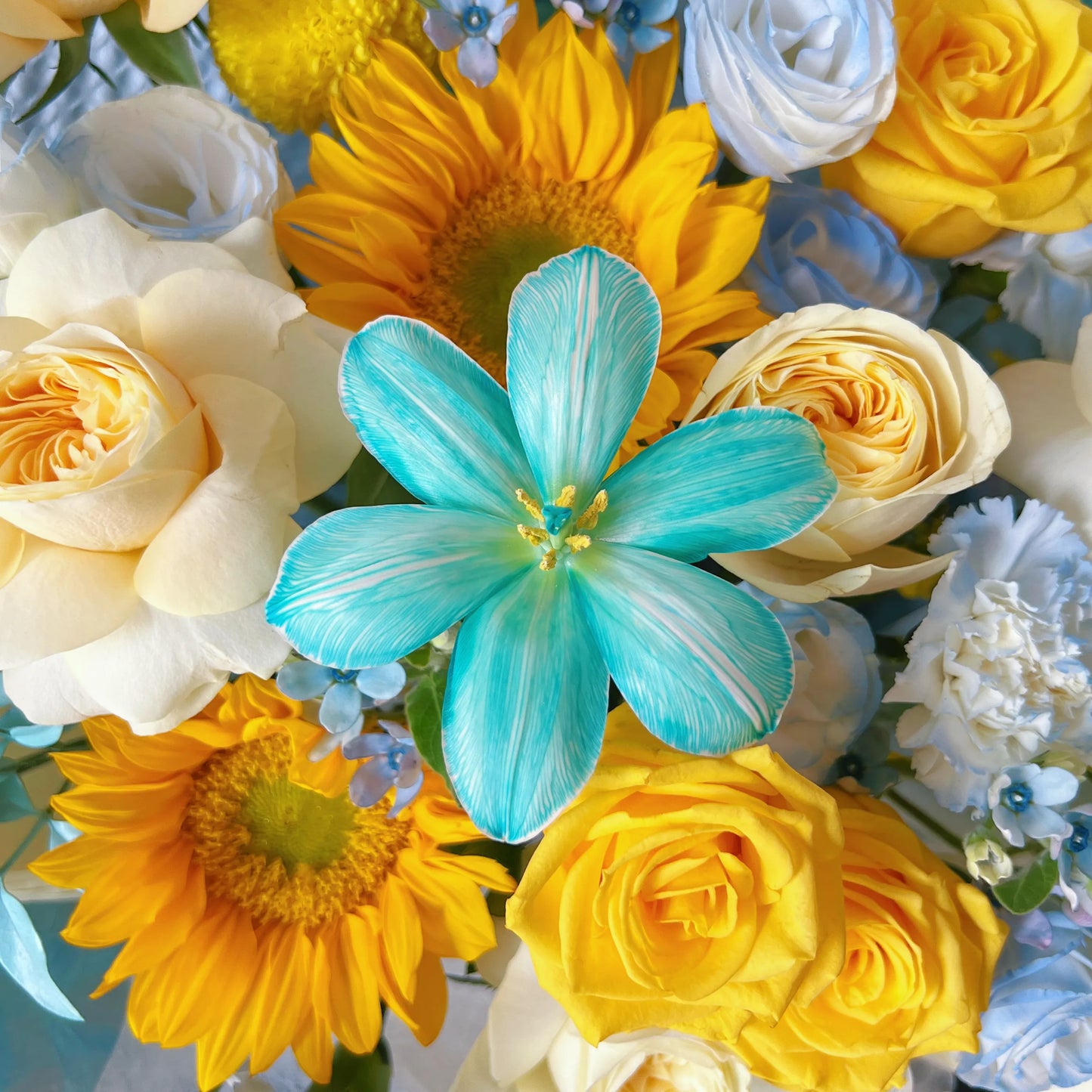 【乘風向陽】奶油杯向日葵黃玫瑰混搭鮮花束