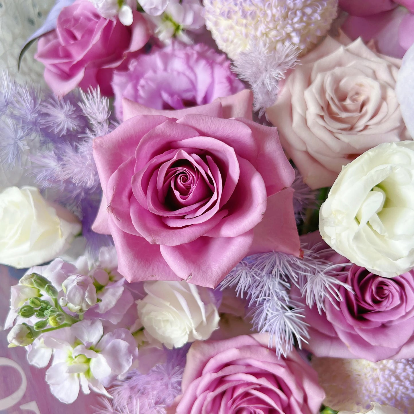 【幸運有你】紫玫瑰曼塔蝴蝶蘭混搭鮮花束