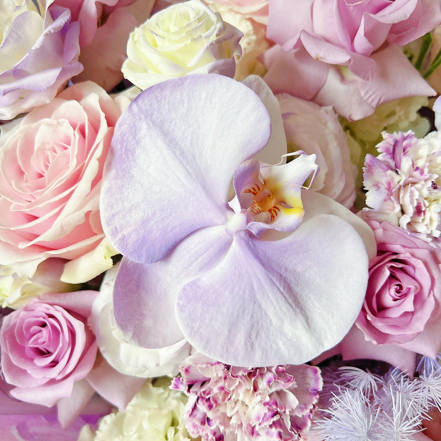 【柔軟時光】紫玫瑰粉玫瑰桔梗混搭鮮花束