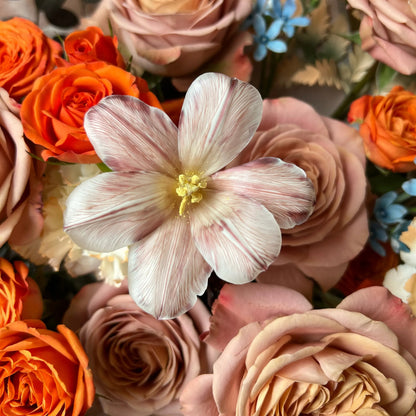 【焦糖布丁】卡布奇諾玫瑰鬱金香混搭鮮花束