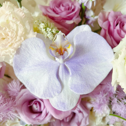 【霧堂花海】紫玫瑰桔梗蝴蝶蘭混搭鮮花束