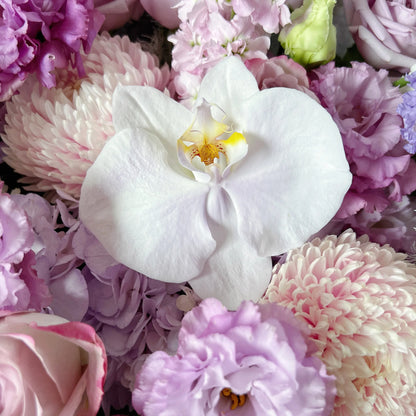 【迷霧花海】紫玫瑰桔梗蝴蝶蘭混搭鮮花束