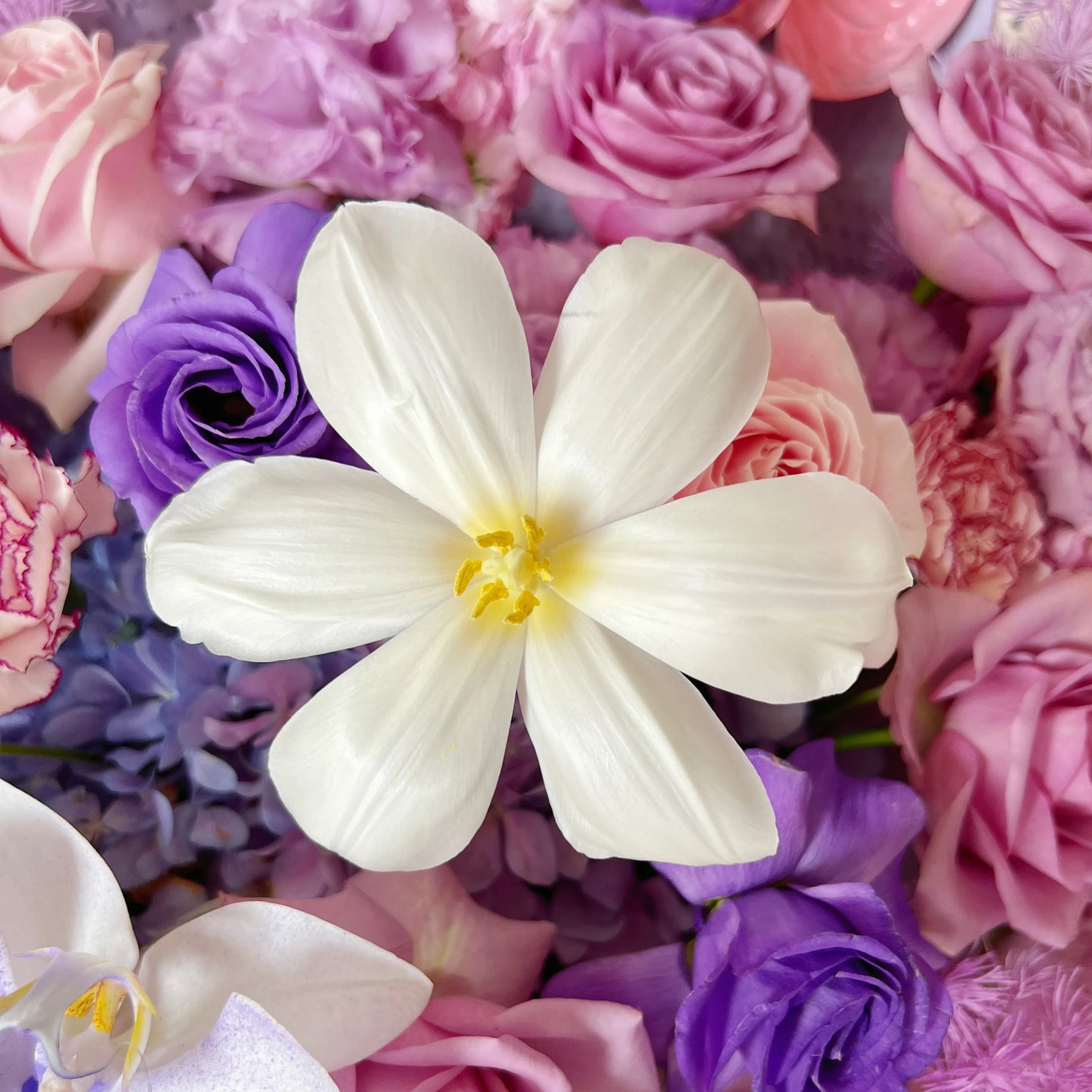 【紫霧】紫玫瑰繡球鬱金香混搭鮮花束