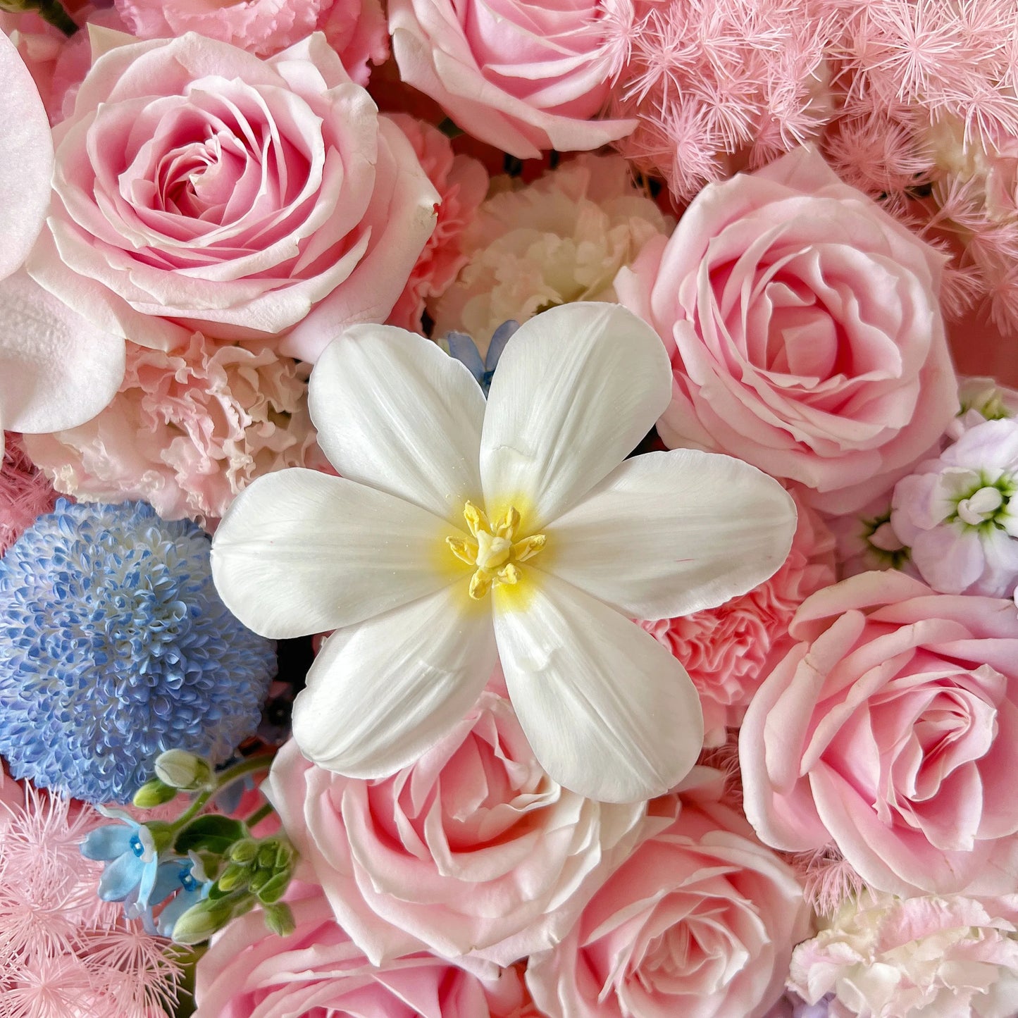 【雲端戀語】奶油桃子粉荔枝紫玫瑰混搭鮮花束