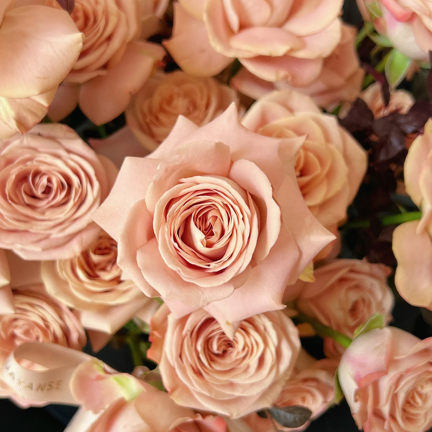 【暖熊花遇】熊仔卡布奇諾混搭鮮花桶