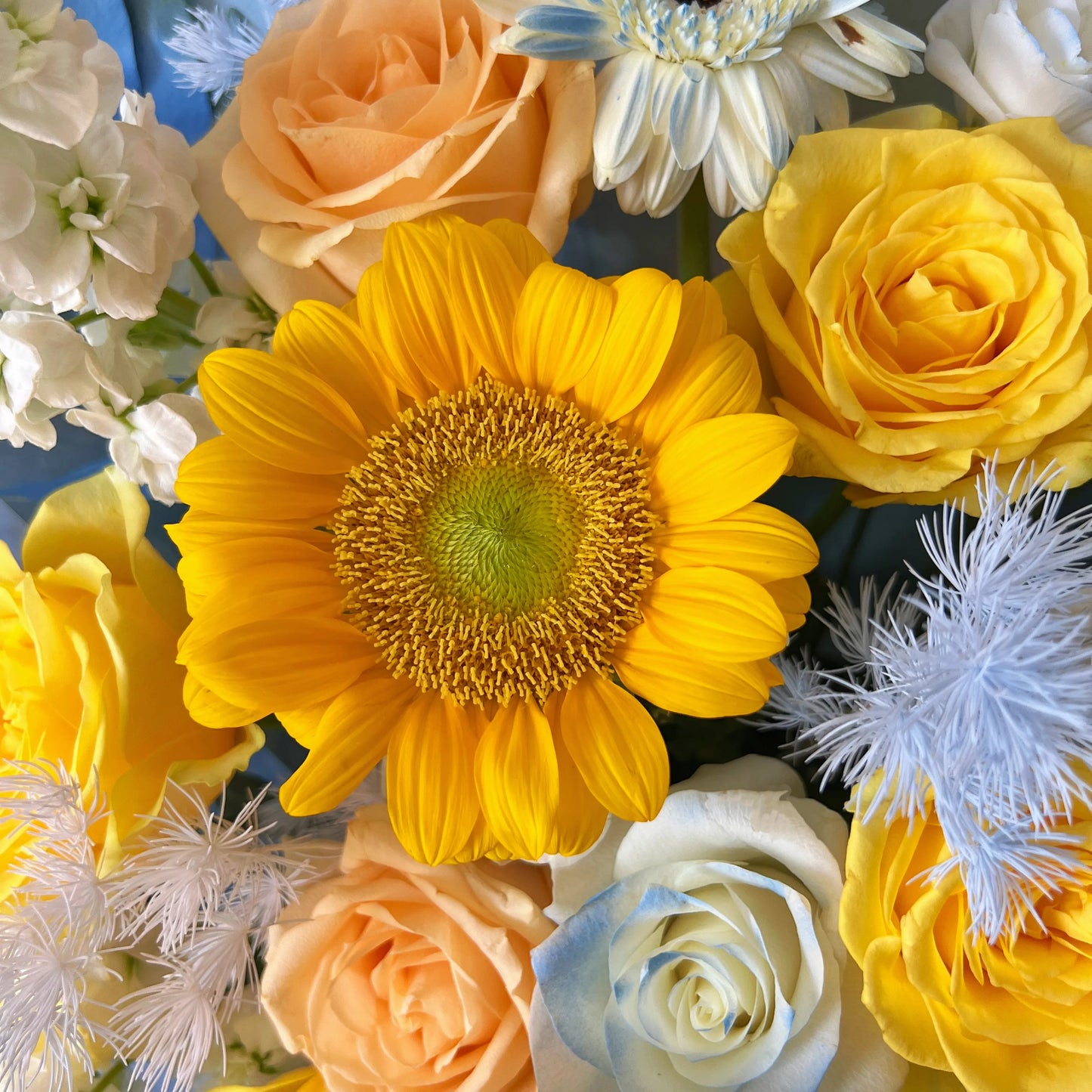 【熾野逐光】向日葵黃玫瑰香檳玫瑰混搭鮮花束