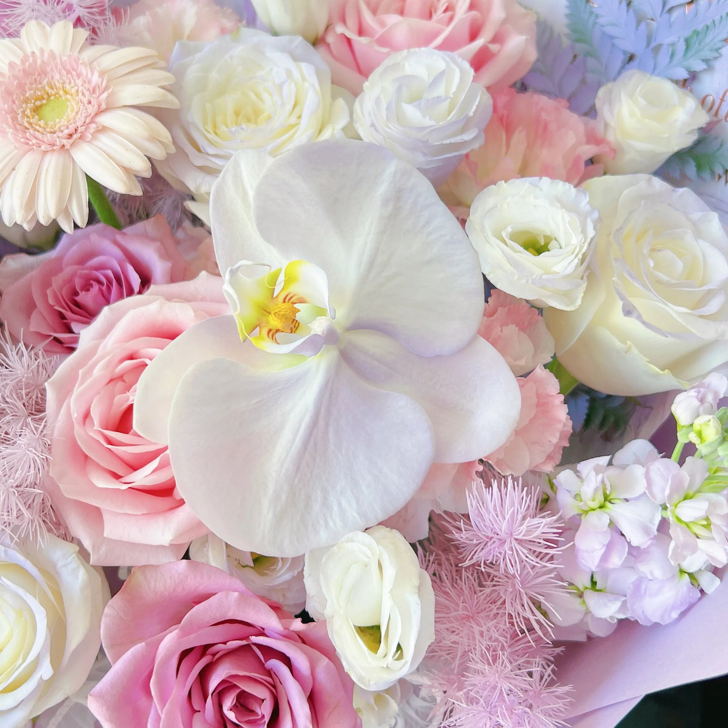 【月光情書】紫玫瑰粉玫瑰蝴蝶蘭混搭鮮花束