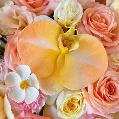 【梵谷金暉】朱小姐康乃馨奶油杯混搭鮮花束