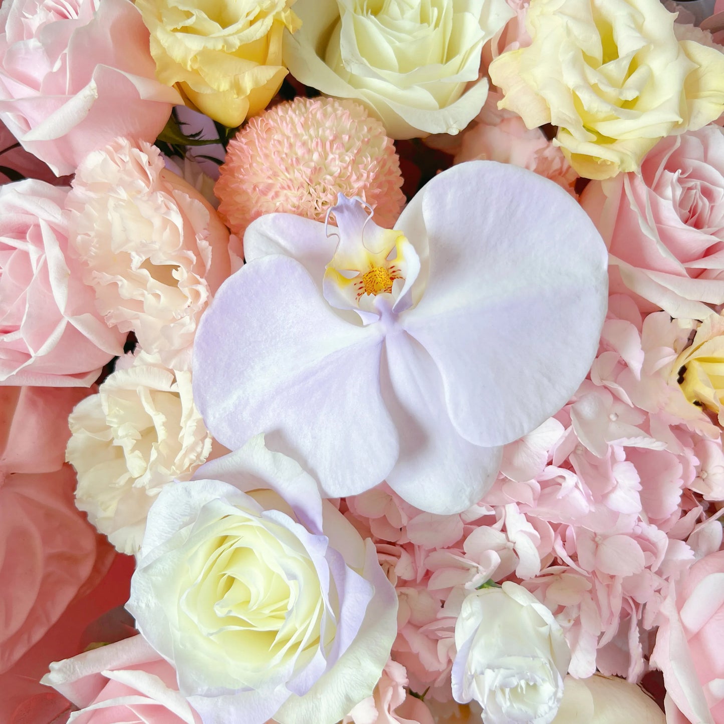 【韶光與你】粉雪山繡球白玫瑰混搭鮮花束