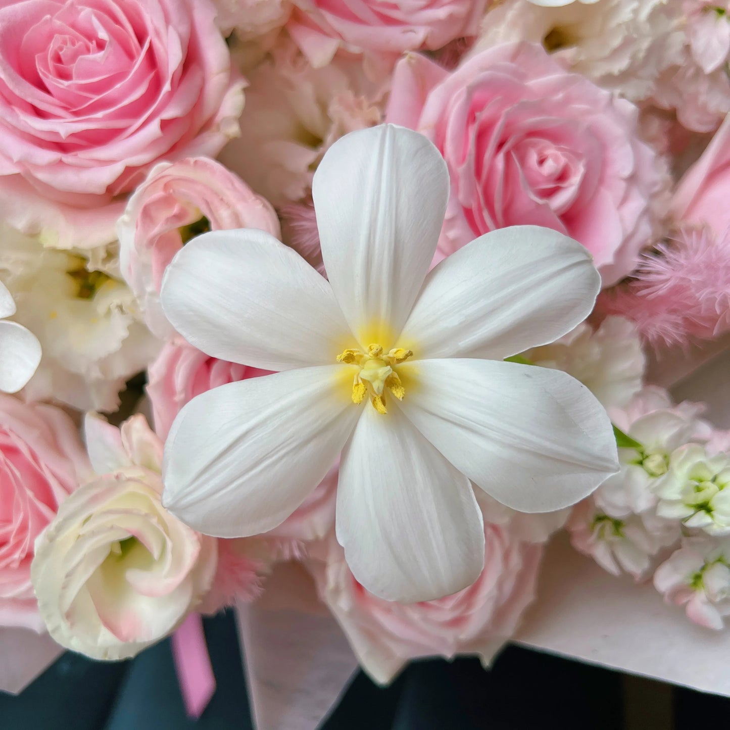 【柔粉漫花】粉雪山桔梗鬱金香混搭鮮花束