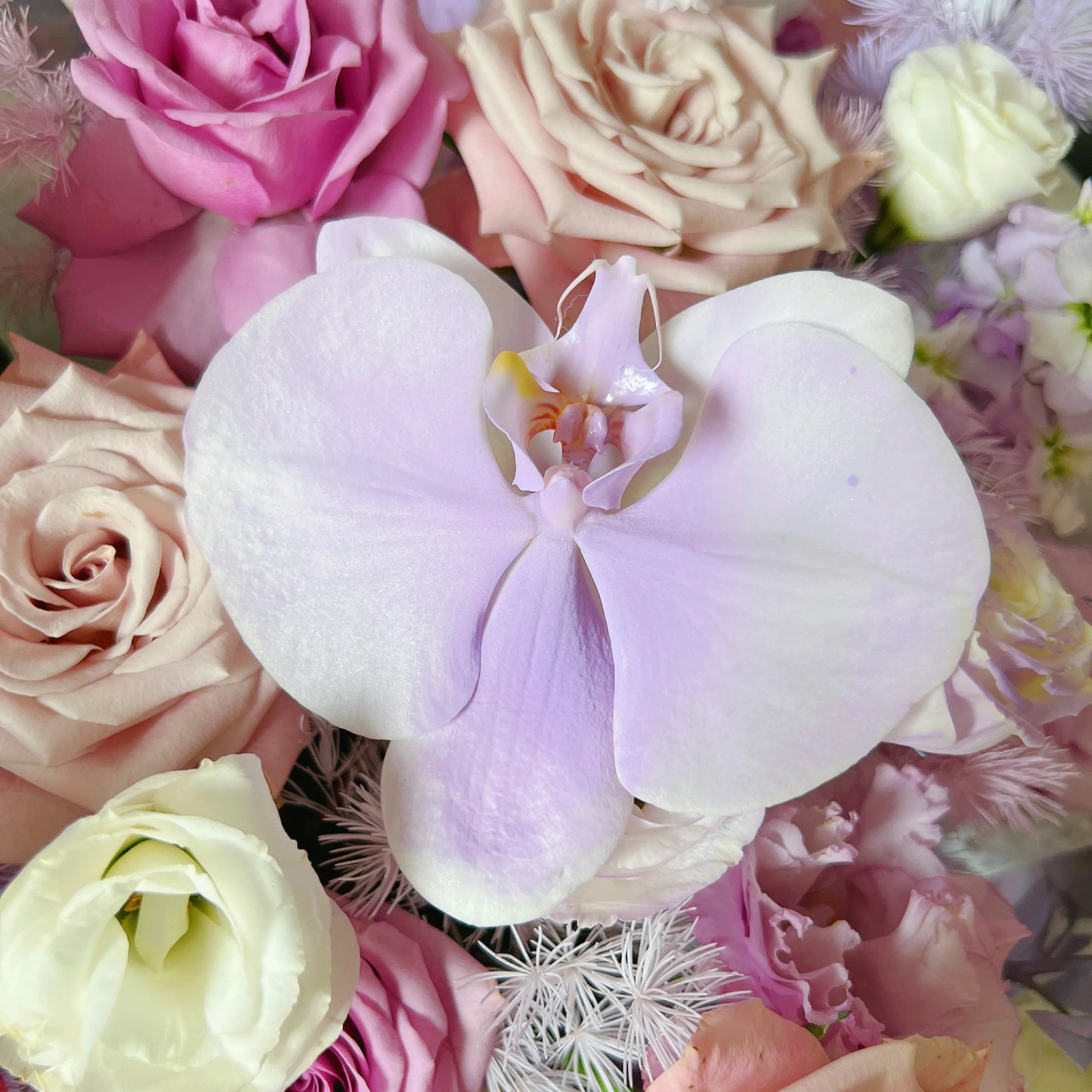 【幸運有你】紫玫瑰曼塔蝴蝶蘭混搭鮮花束