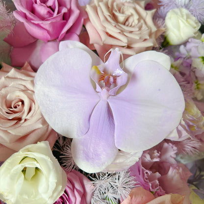 【幸運有你】紫玫瑰曼塔蝴蝶蘭混搭鮮花束