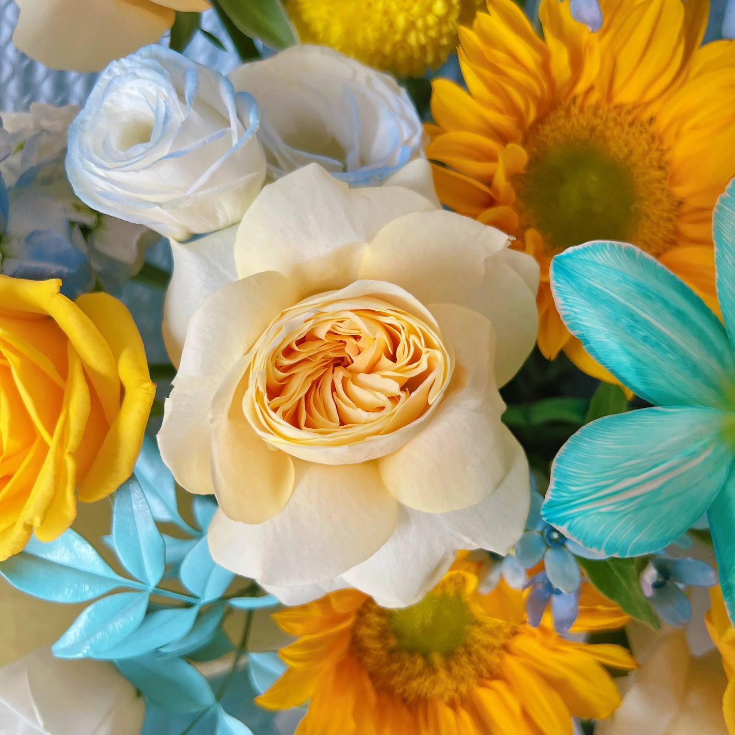 【乘風向陽】奶油杯向日葵黃玫瑰混搭鮮花束
