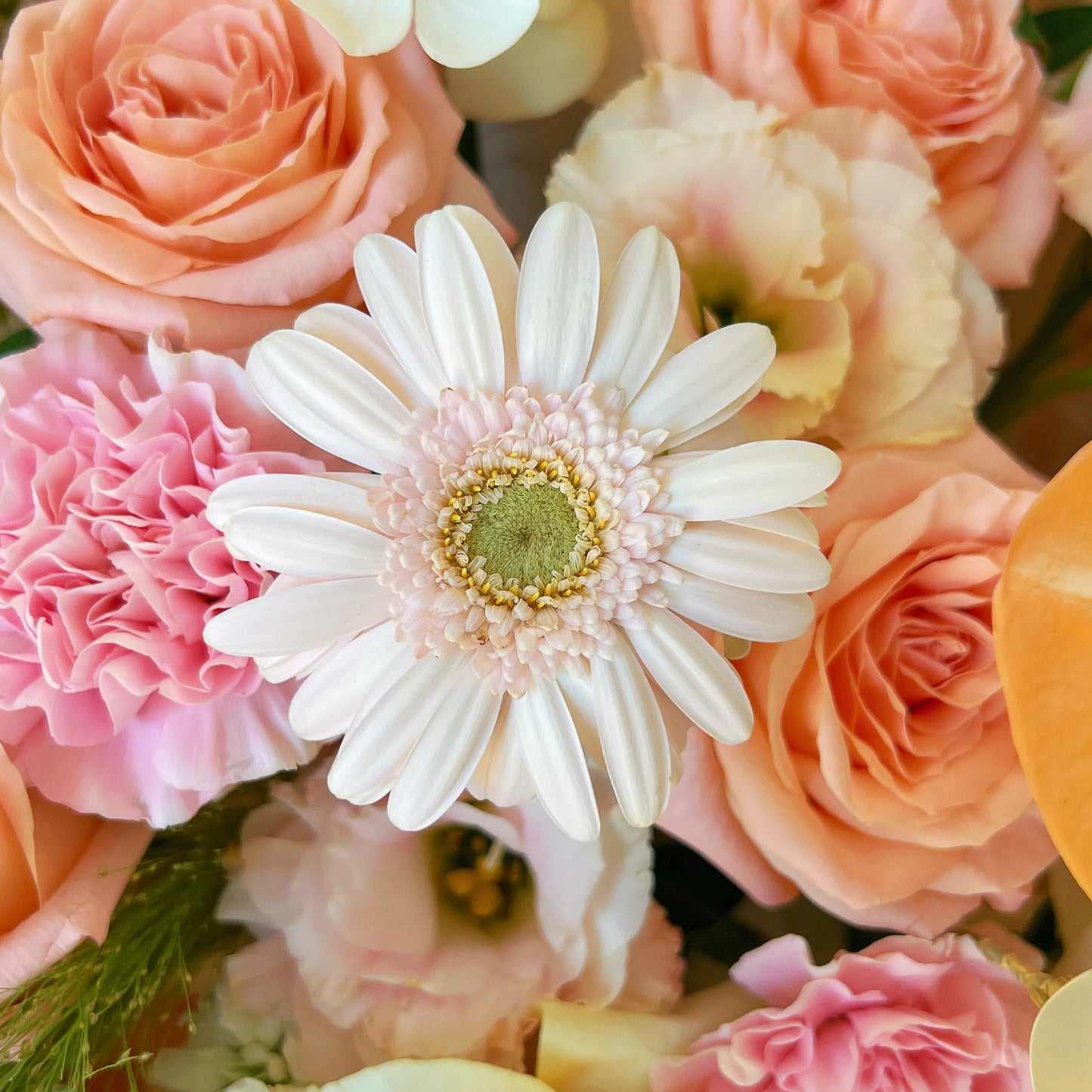 【梵谷金暉】朱小姐康乃馨奶油杯混搭鮮花束