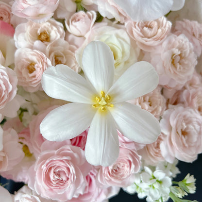 【Kitty花漾】仙子之吻粉玫瑰鬱金香混搭鮮花束