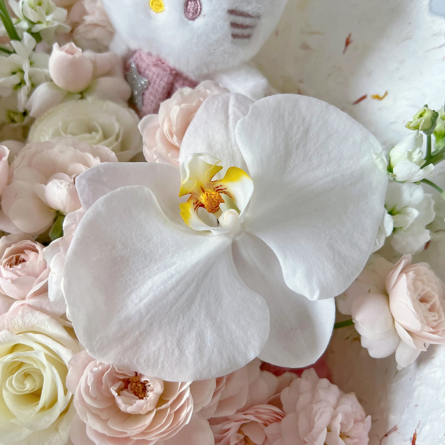 【Kitty花漾】仙子之吻粉玫瑰鬱金香混搭鮮花束