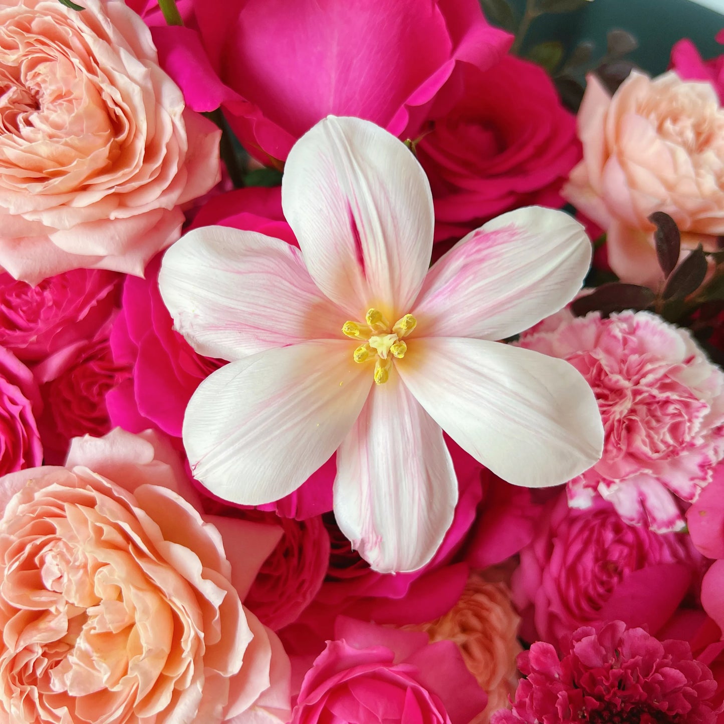 【玫粉花簇】弗洛伊德鬱金香混搭鮮花桶